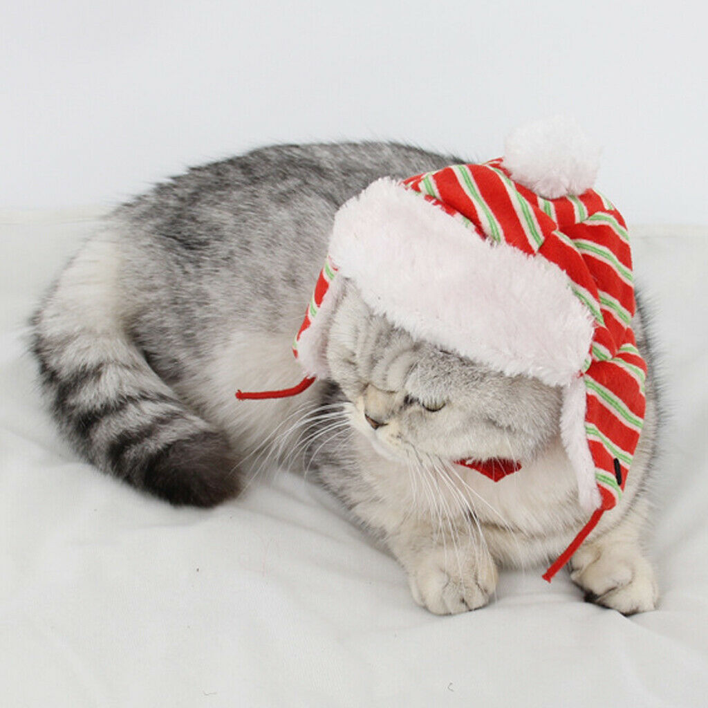 Lovely Pet Hat Red & Green Stripe Warmth Winter Hat For Dog Cat