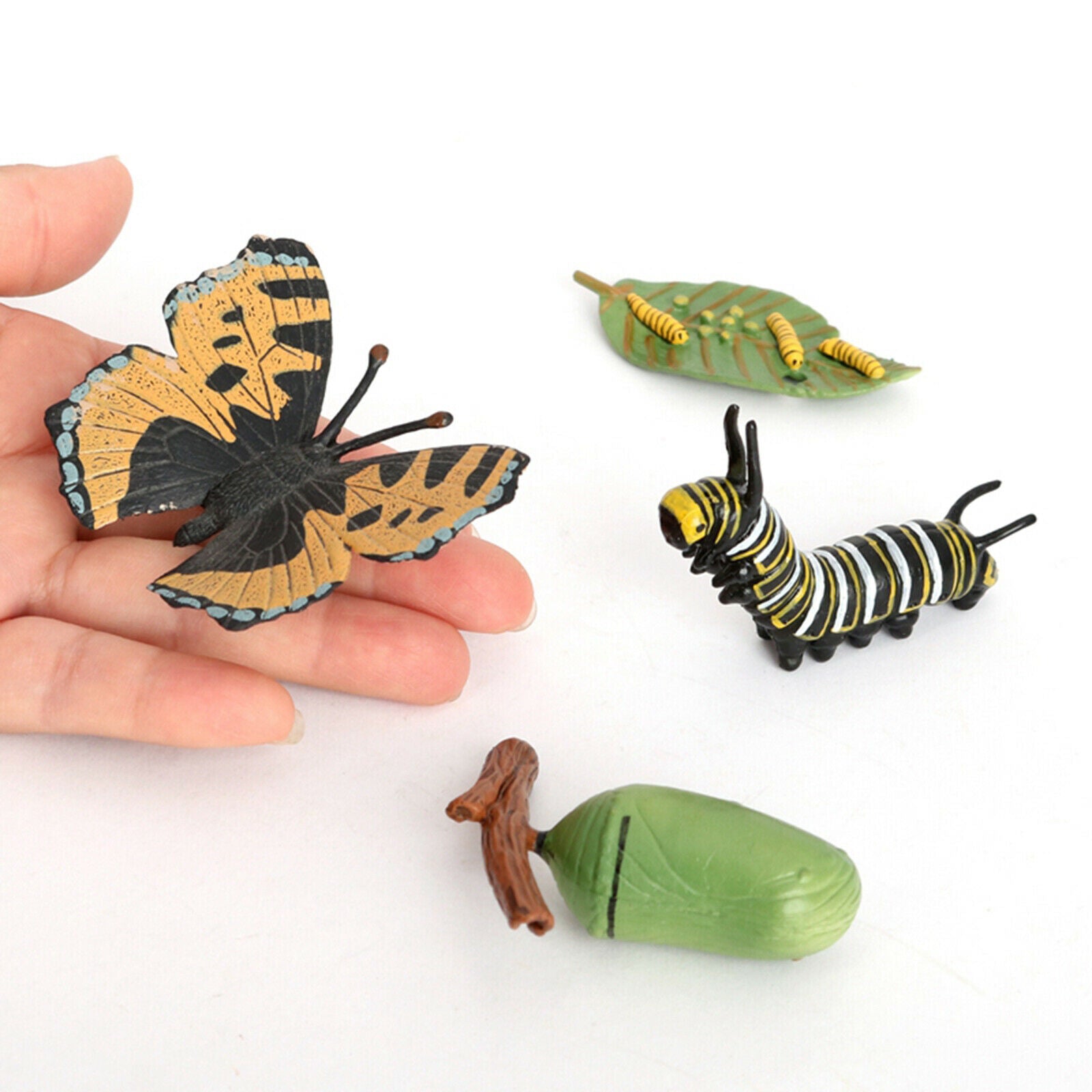 Meticulously Designed Ladybug Butterfly Lifecycle Figures， Educational