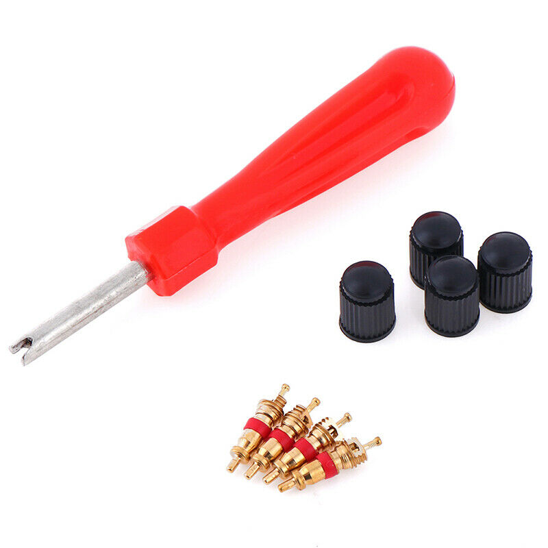 1Set Tire Valve Service Kit Valve Cores Screwdriver Tire Repair Car Motor.l8