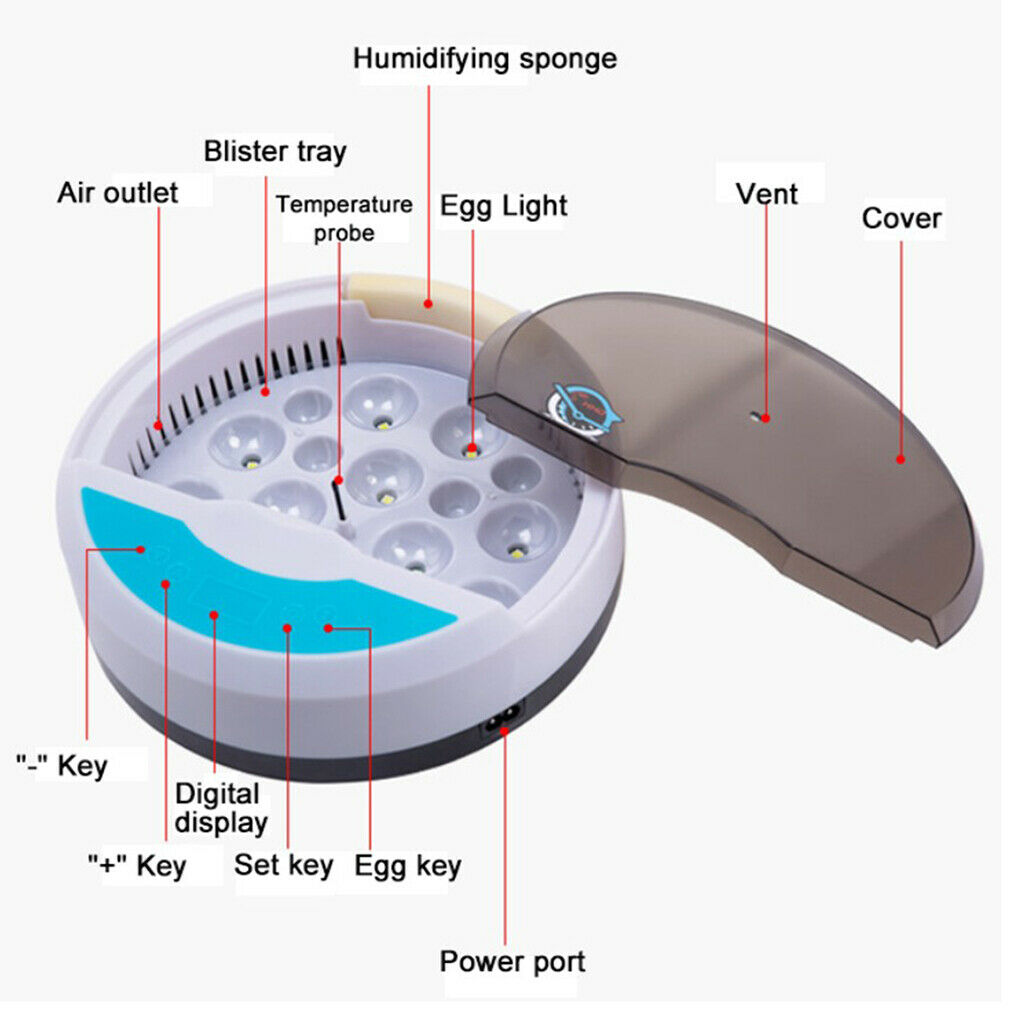 Digital Mini Fully Automatic Egg Incubator with Low Noise Ceramic heater, 9 Eggs