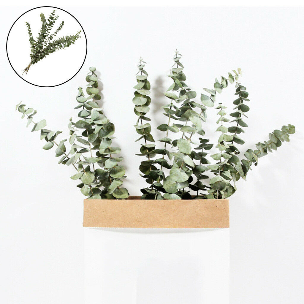 10Pcs Eucalyptus Leaves DIY Bouquet Centerpiece Home Decoration Supplies