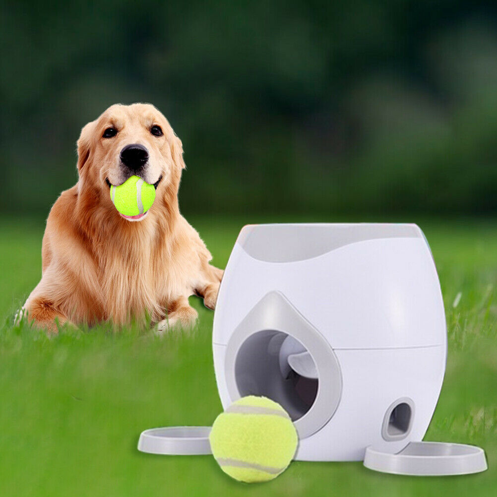 Automatic Pet Feeder Fetch Tennis Ball Launcher For Dog Training Game Toys Ball