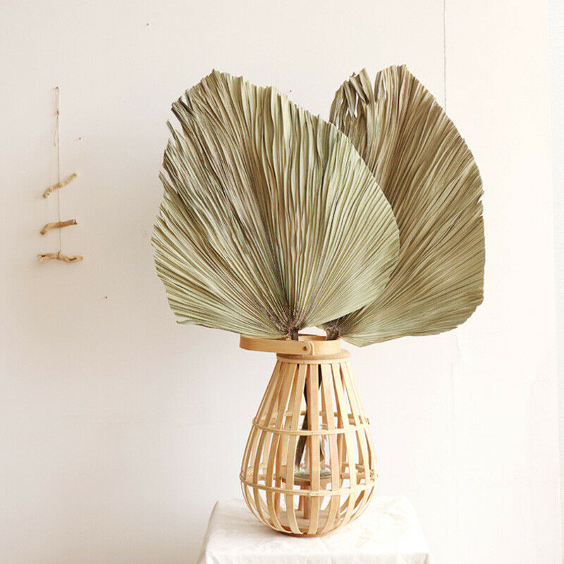 Natural Dried Flower Palm Leaf Fan Plant Party Wall Hanging Wedding Decor DIY