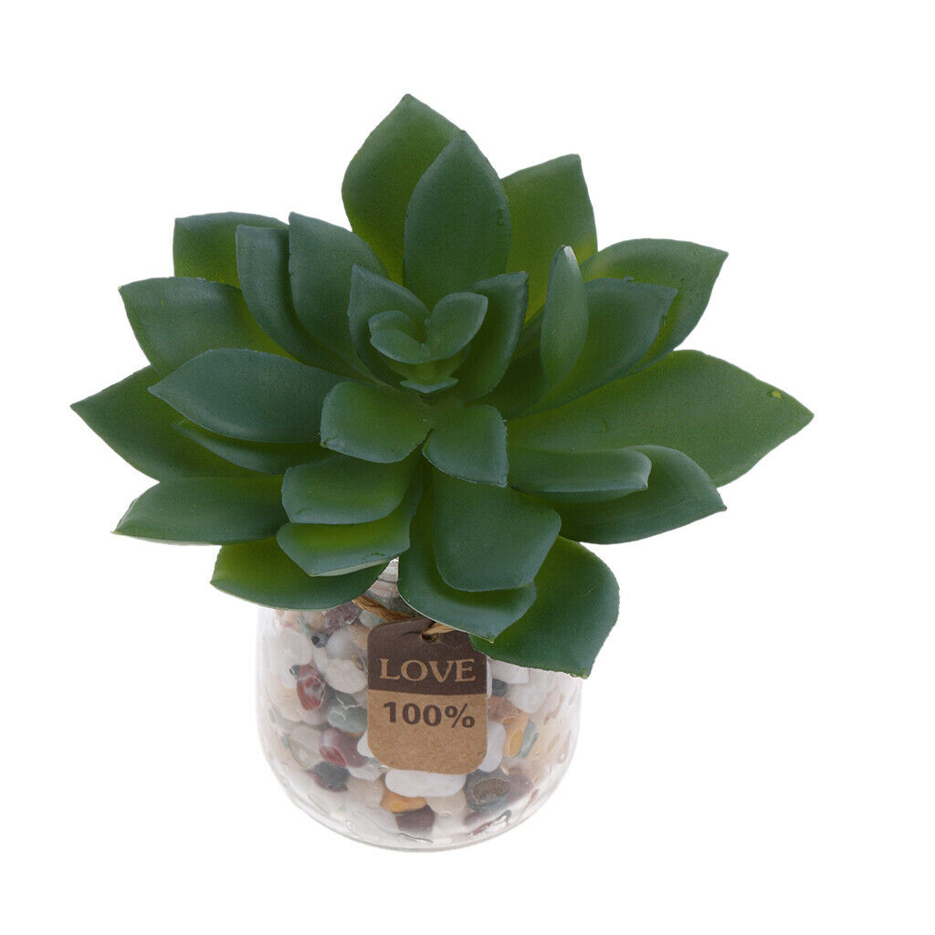 Realistic Plastic Succulents Plants Photography Props Plant Arrangement Decor