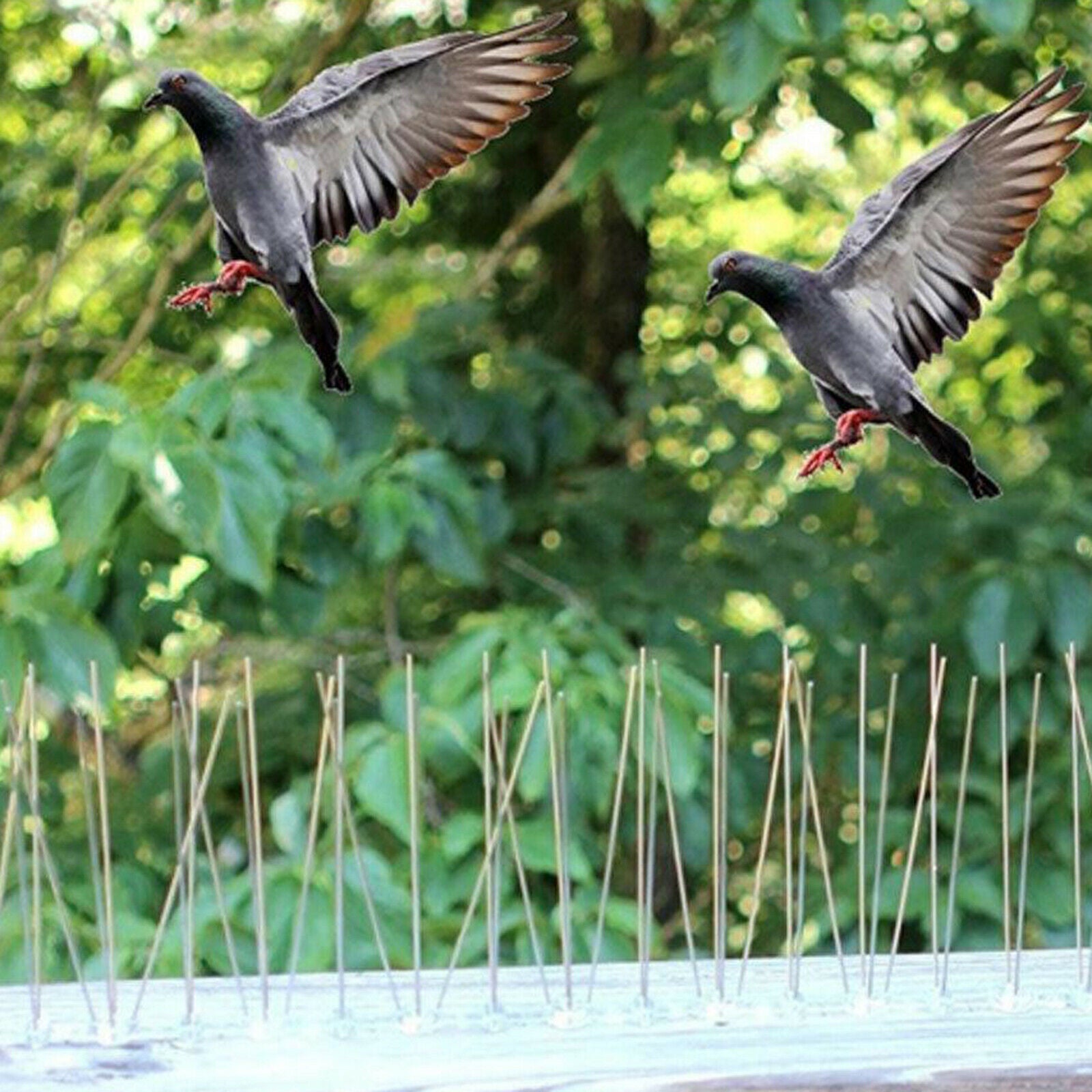 12pcs Fence Wall Spikes Small Birds Spikes Deterrent Wall Spikes Cover Roof
