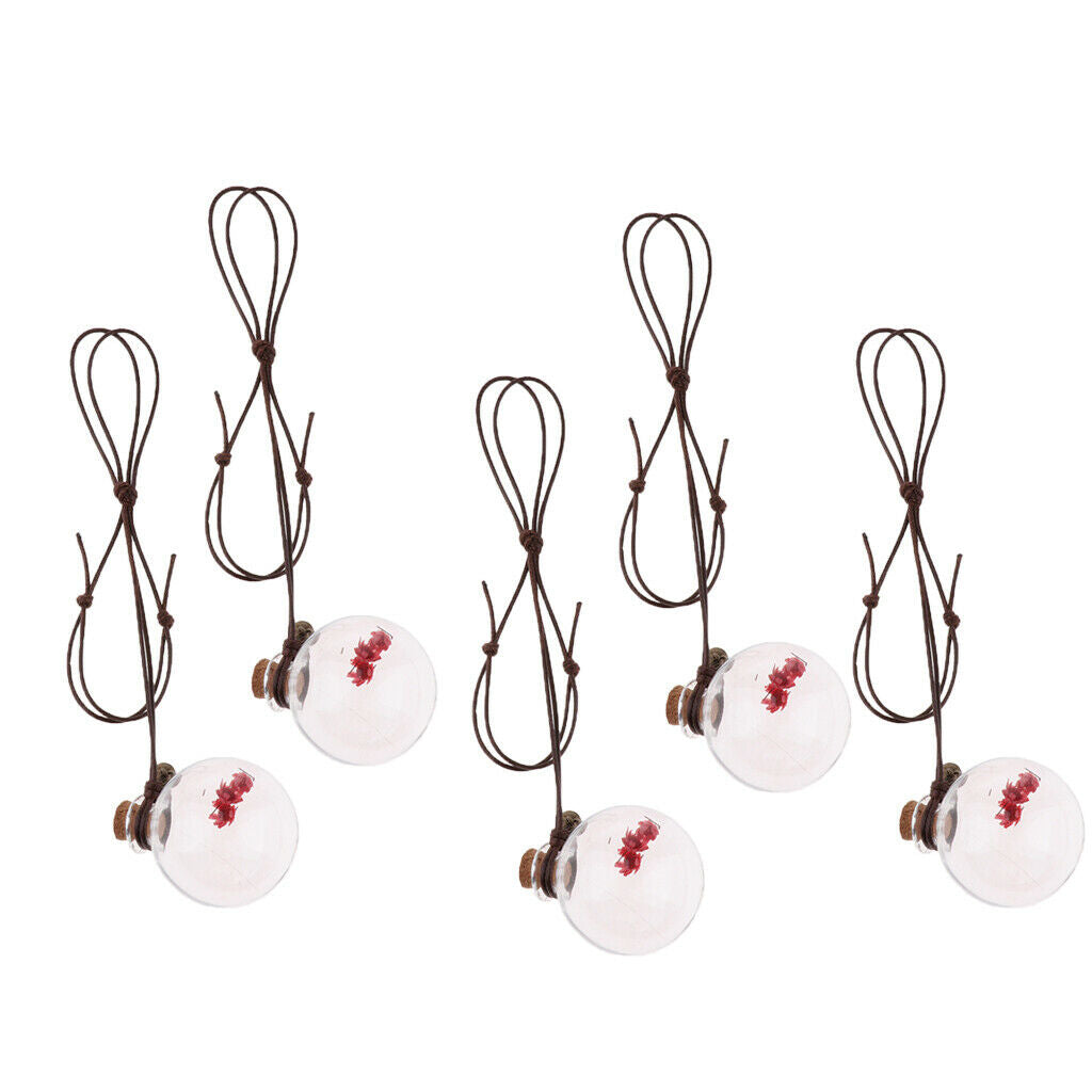 5 Pcs Mini Hanging Perfume Bottle Car Air Freshener Bottle for Fragrance