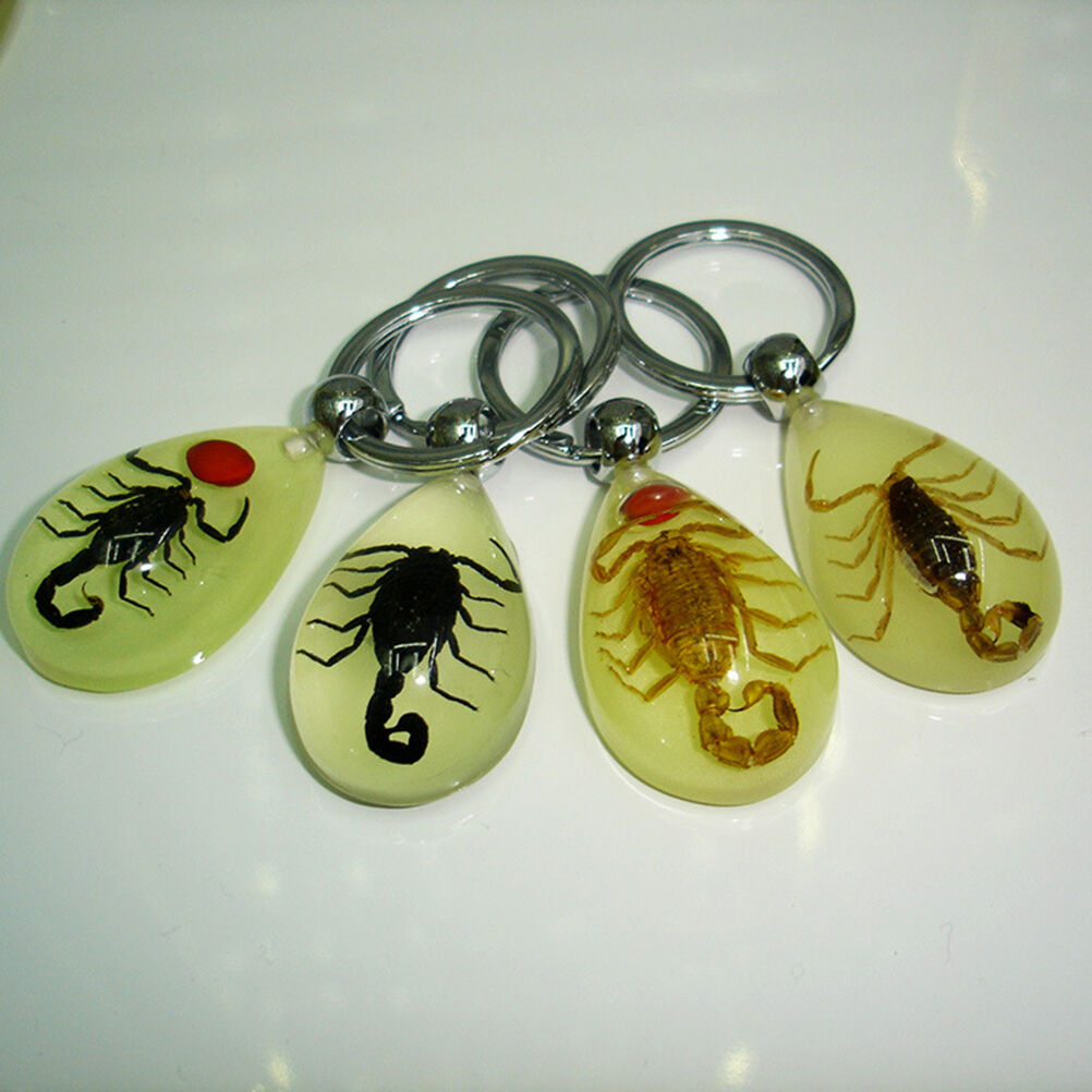 Scorpion Glow Lucite Keyring Keychain Insect Jewelry Taxidermy Gif.l8