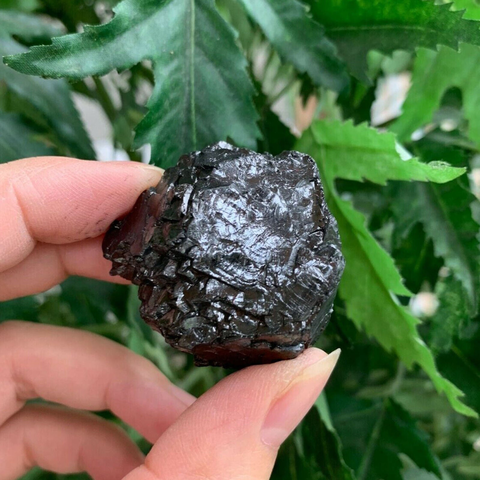 Elite Noble Shungite, Grade A++ Raw Shungite, Natural Shungite, EMF Protection