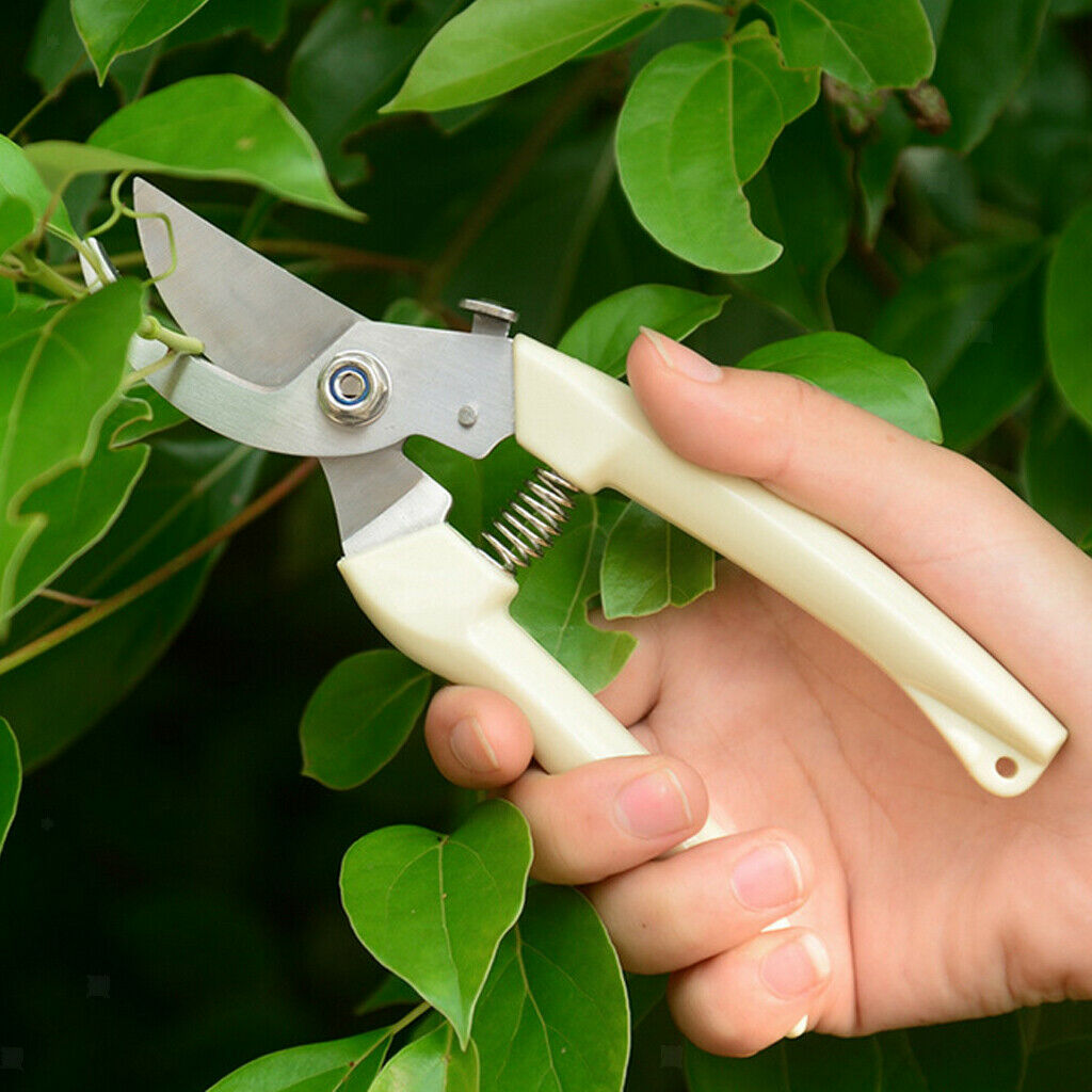 Stainless Steel Garden Fruit Tree Pruning Shear Anti-slip Handle Cutting