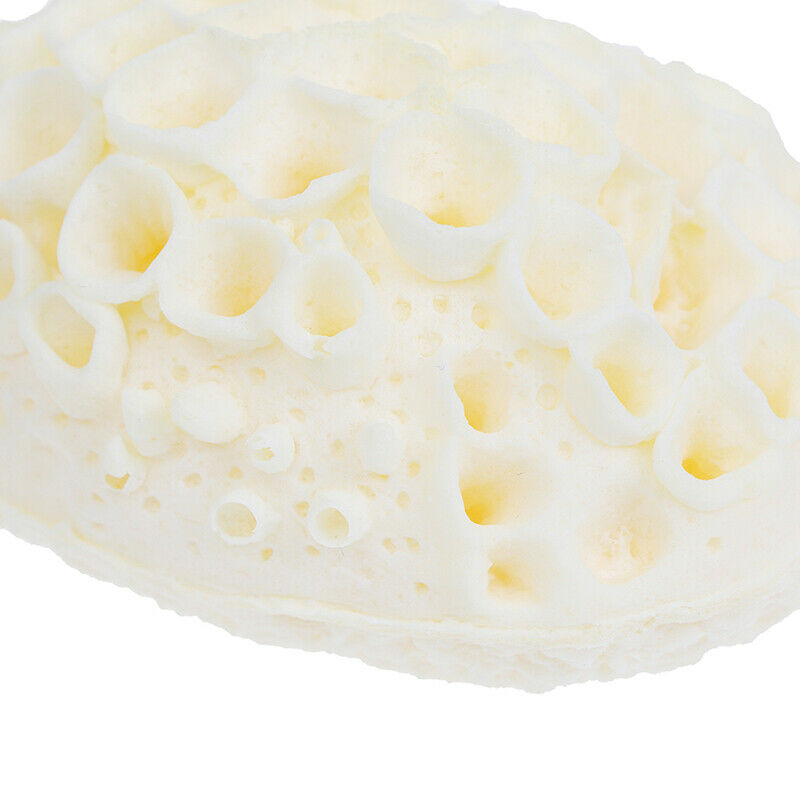 1PC Sea Wool Sponge All Natural Honeycomb Renewable Sea Sponge Dead Skin .l8