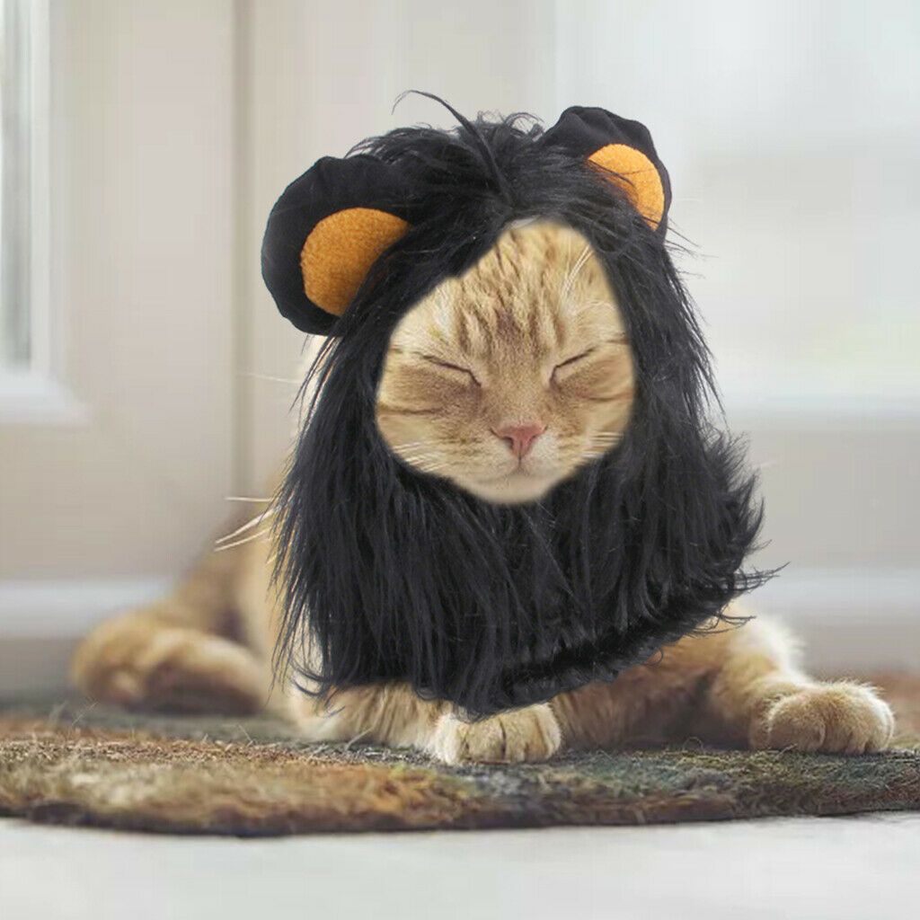 Lion Mane Wig Costume Suit Cat Costume for Cat Pet Clothing Accessories M