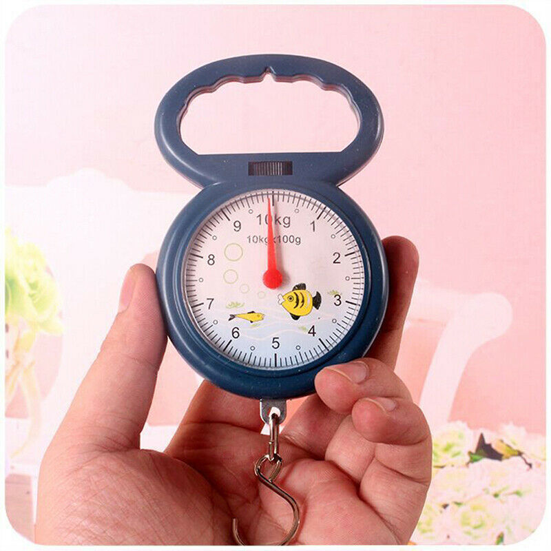 Portable Mini Pointer Hook Hanging Weighing Scales Weighing Scales for Fi.l8