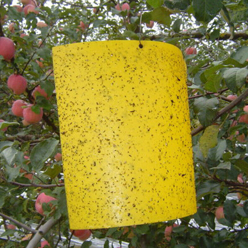 Double-sided insect trap Yellow board waterproof insect killer trap insect trap