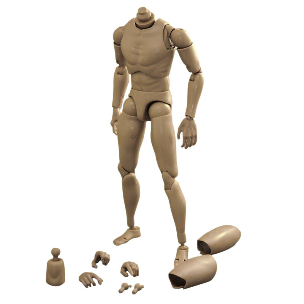 1:6 Action Man Male Semaless Rude Body Carving Skeleton Hobbyists