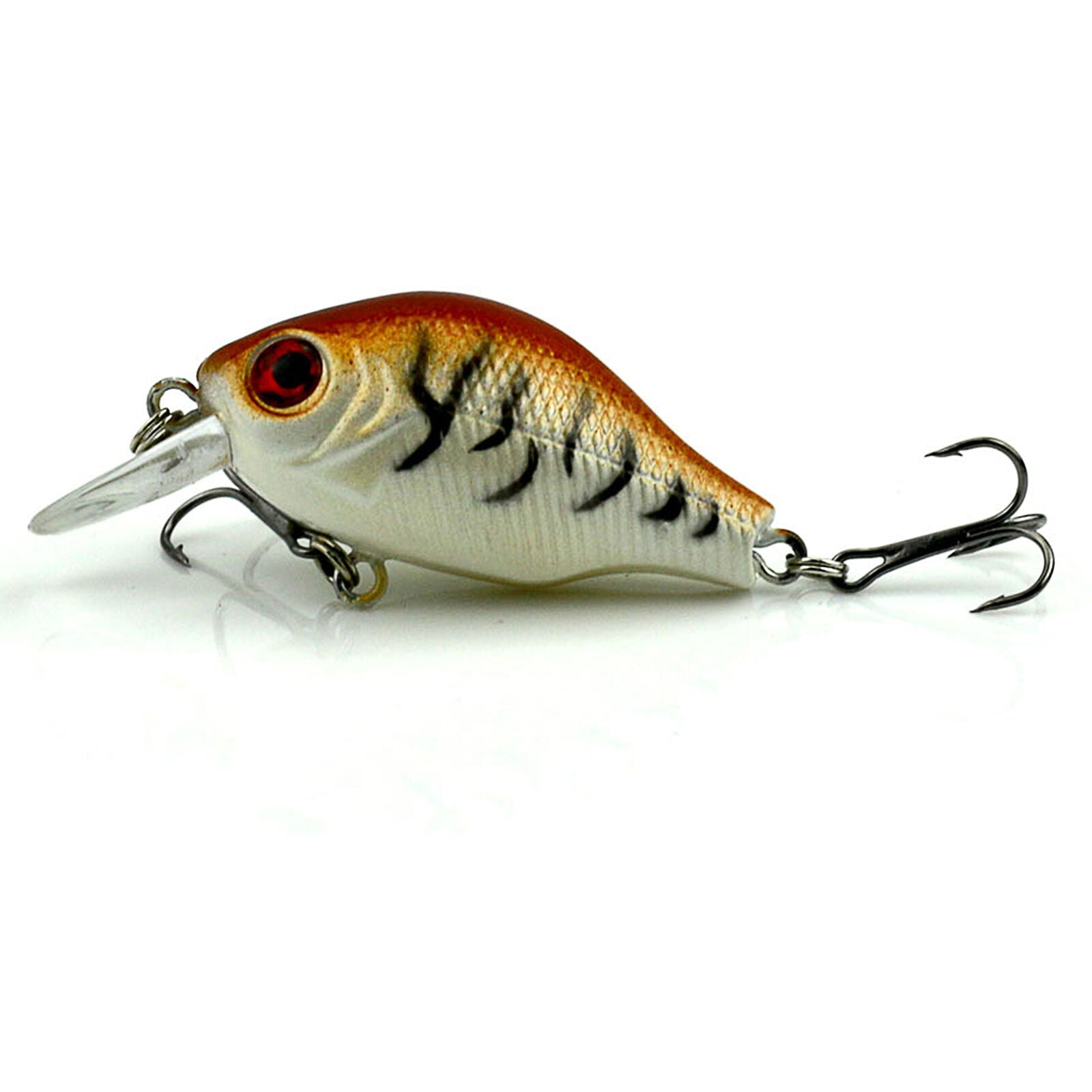 Popular 5pcs Plastic Fishing Lures Bass CrankBait Crank Bait Tackle 5.5cm/8g Set