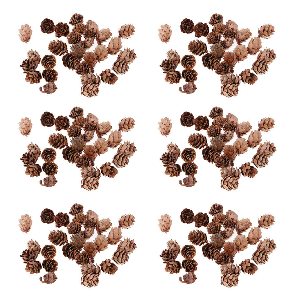 180pcs Small Natural Dried Pine Cones In Bulk Dried Flowers for Christmas Decors