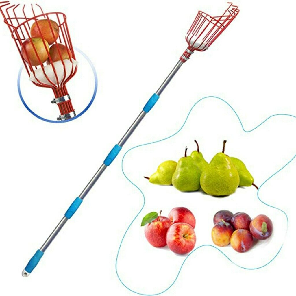Orchards 5ft Fruit Picker Tool Stainless Height Adjustable Fruit Picker w/Basket