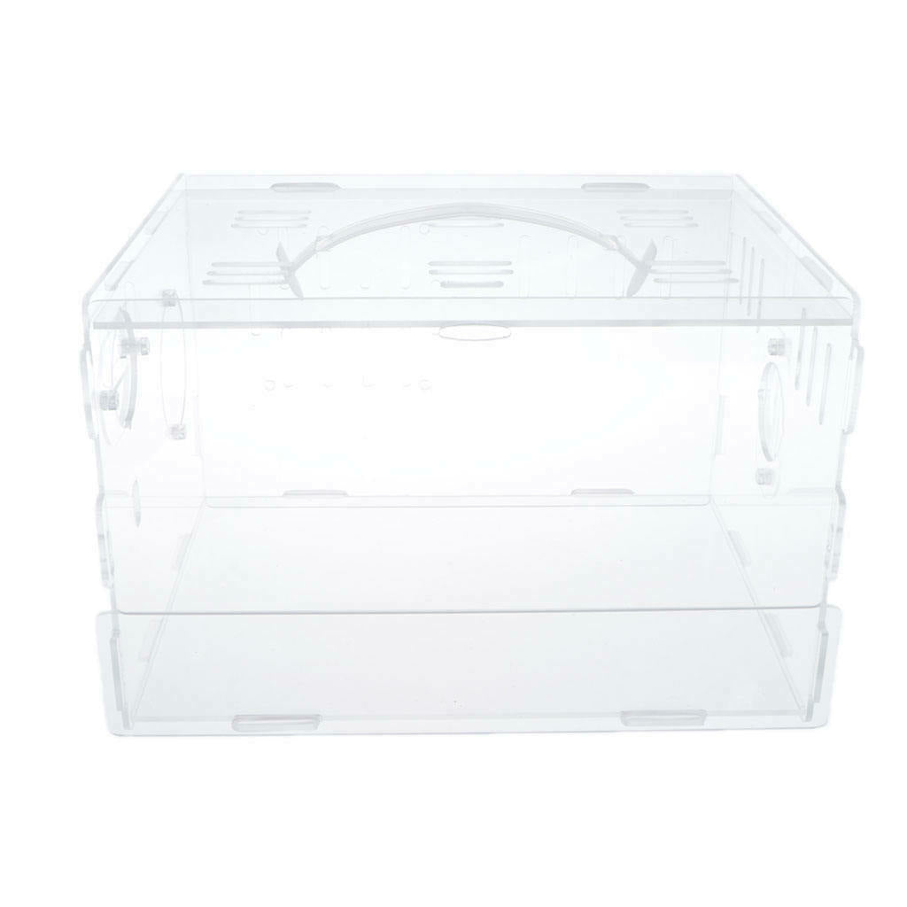 Acrylic Hamster House with Lid - single layer