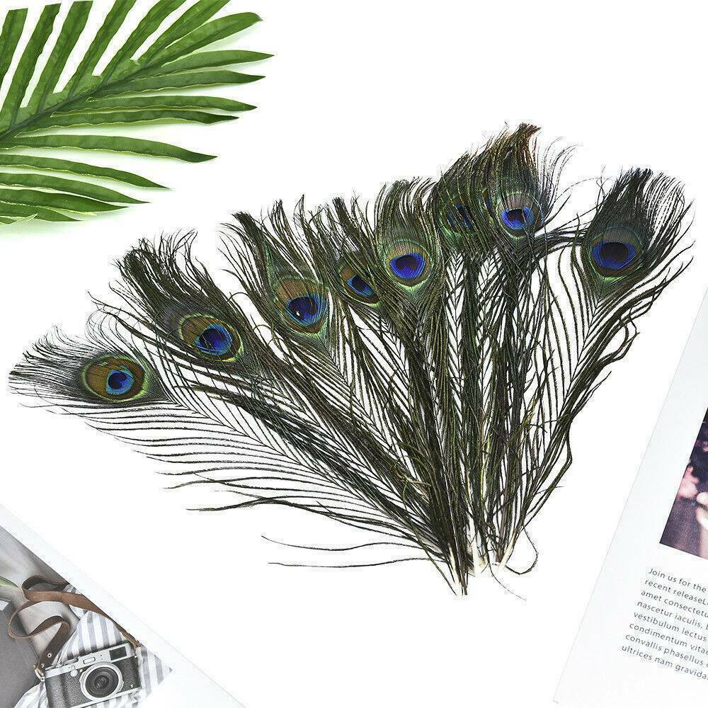 10PCS Real Natural Peacock Tail Eyes Feathers Wedding Festival Party Home Decor