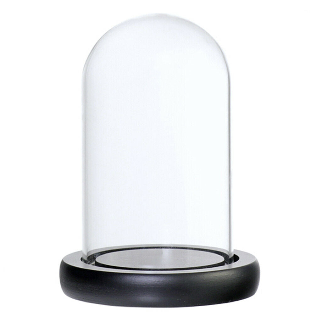 Clear Glass Cloche Dome Vase Terrarium for Office Garden Ornament Black