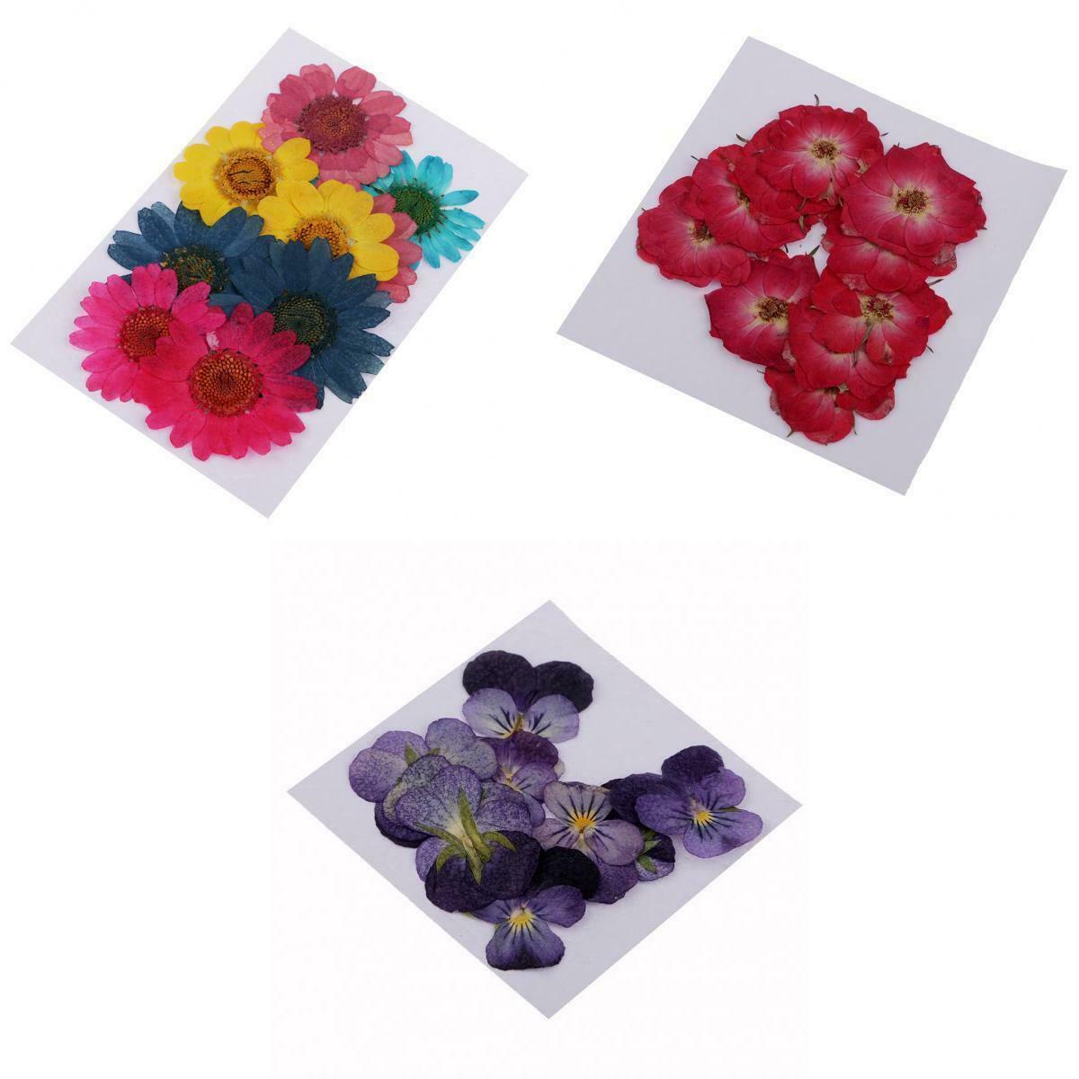 30x Colorful Real Dried Pressed Flowers For Art Craft DIY Scrapbooking