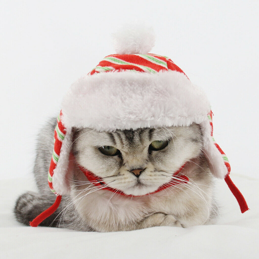 Lovely Pet Hat Red & Green Stripe Warmth Winter Hat For Dog Cat