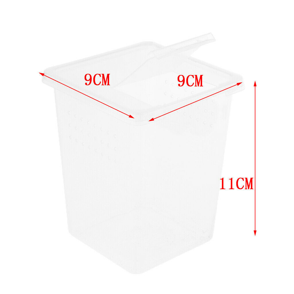 2Pcs Plastic Insect Spider Habitat Feeding Box Container REUSABLE 3x3x4 inch