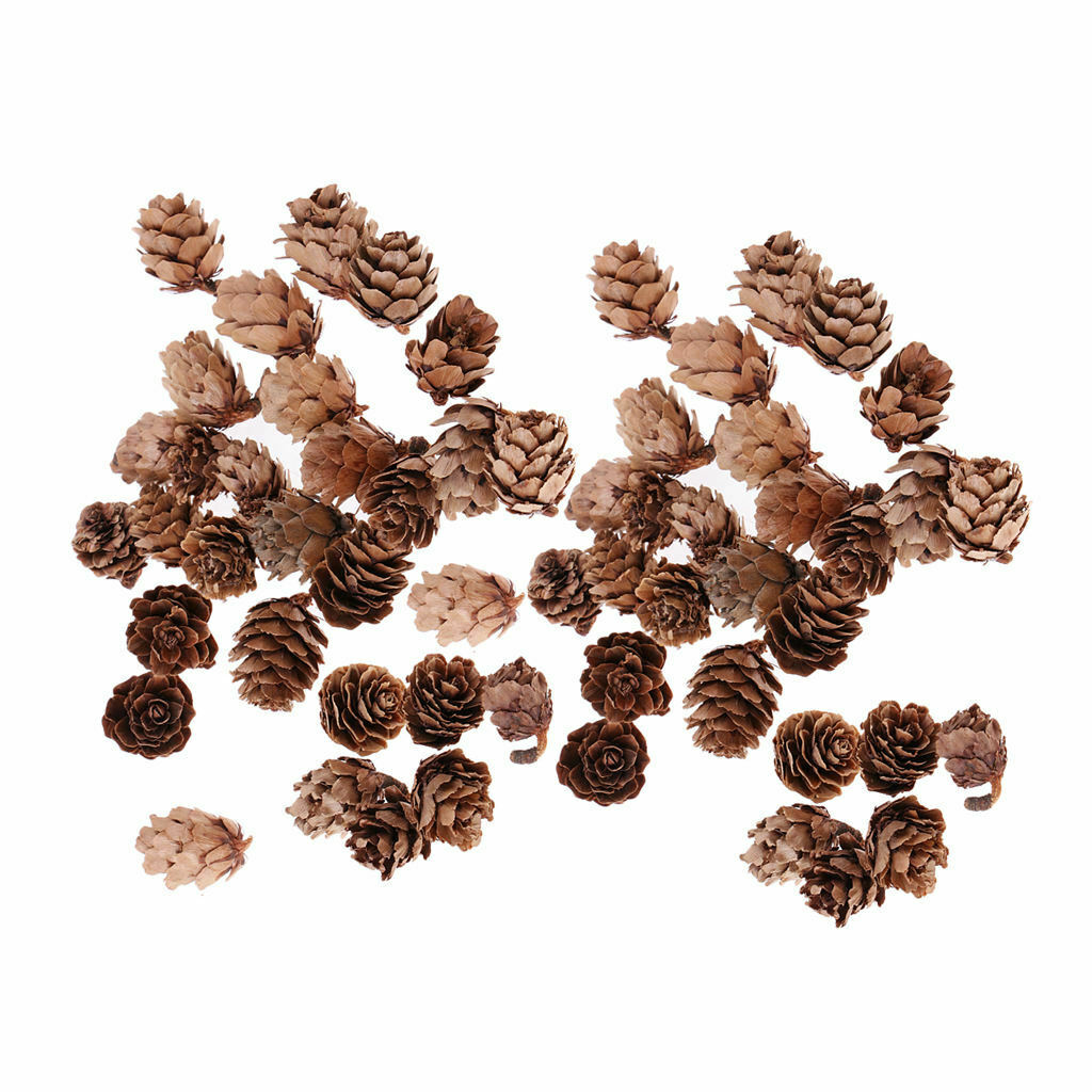 60Pcs Pine Cones Decorative Pine Nuts Pinecone Christmas Hanging Ball Party