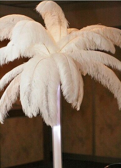 100pcs Top quality 10-12inch/25-30cm white ostrich feathers Decor wedding Party