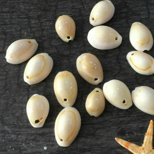 50pcs Shell Beads for Women jewelry Bracelet Necklace Earring Making DIY