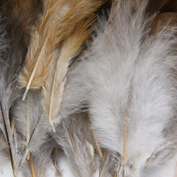 50pcs Natural Rooster Cock Feathers Fascir Costume DIY Sewing Craft 2-6