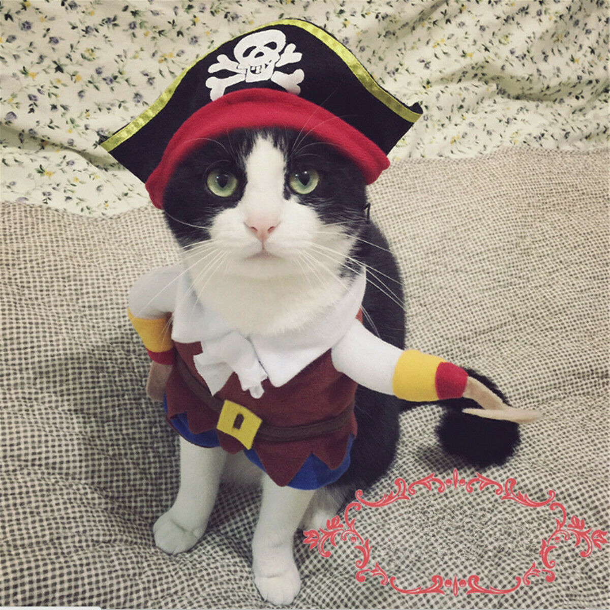 1 Set XL Pet Small Dog Cat Pirate Costume Outfit Jumpsuit Clothes for Halloween