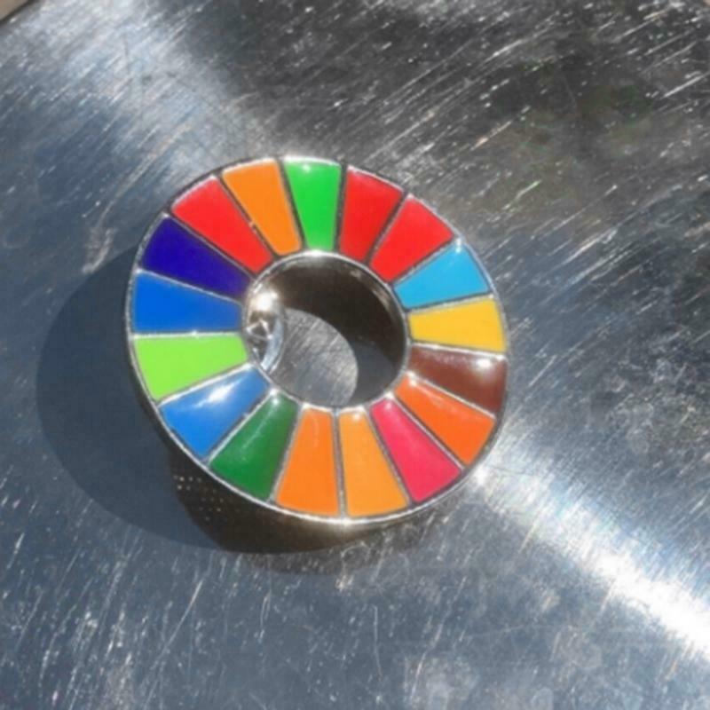The Sustainable Development Goals Brooch United Nations SDGs Rainbow Pin Badge