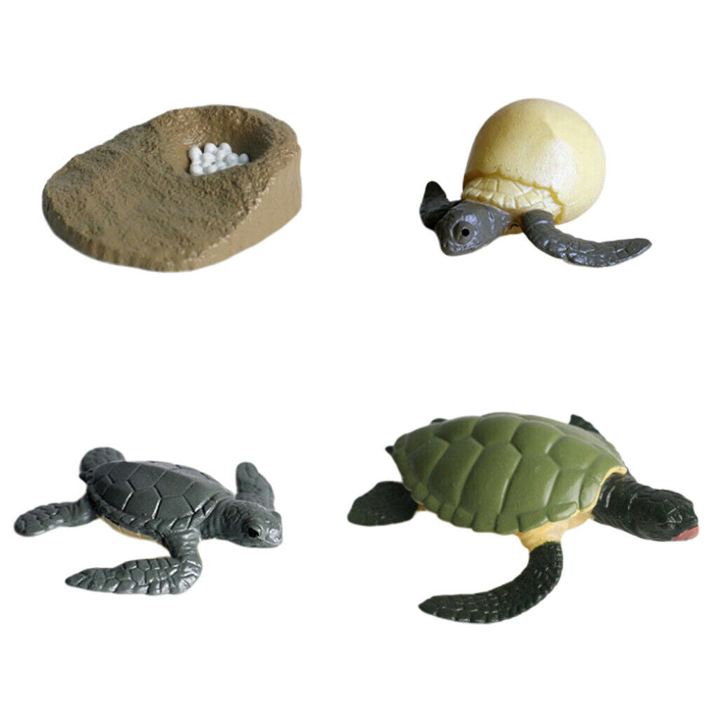 Lots 4 Solid Growth Cycle Realistic Sea Turtle Figures Kids Collectibles