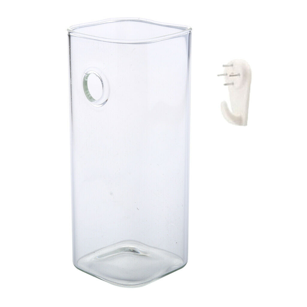 Square Hydroponic Hanging Planter 15cm Nursery Pot Glass Flower Vase Decor