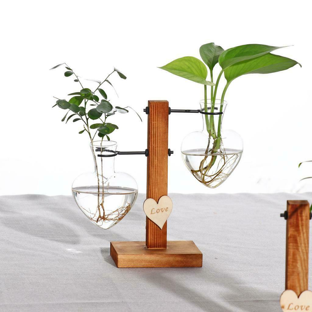 Glass Terrariumin Test Tube Vase in Wooden Stand Planter Hydroponic Plants