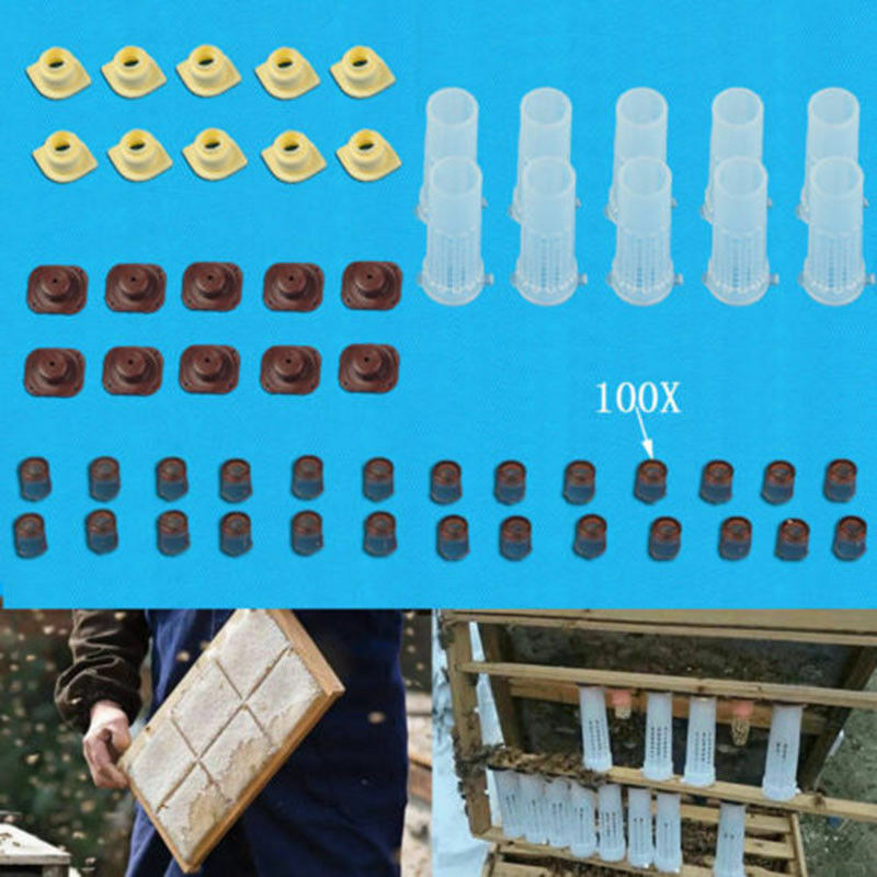 Complete Queen Rearing Cupkit System Bee Beekeeping Catcher Box & 100 Cups Cell
