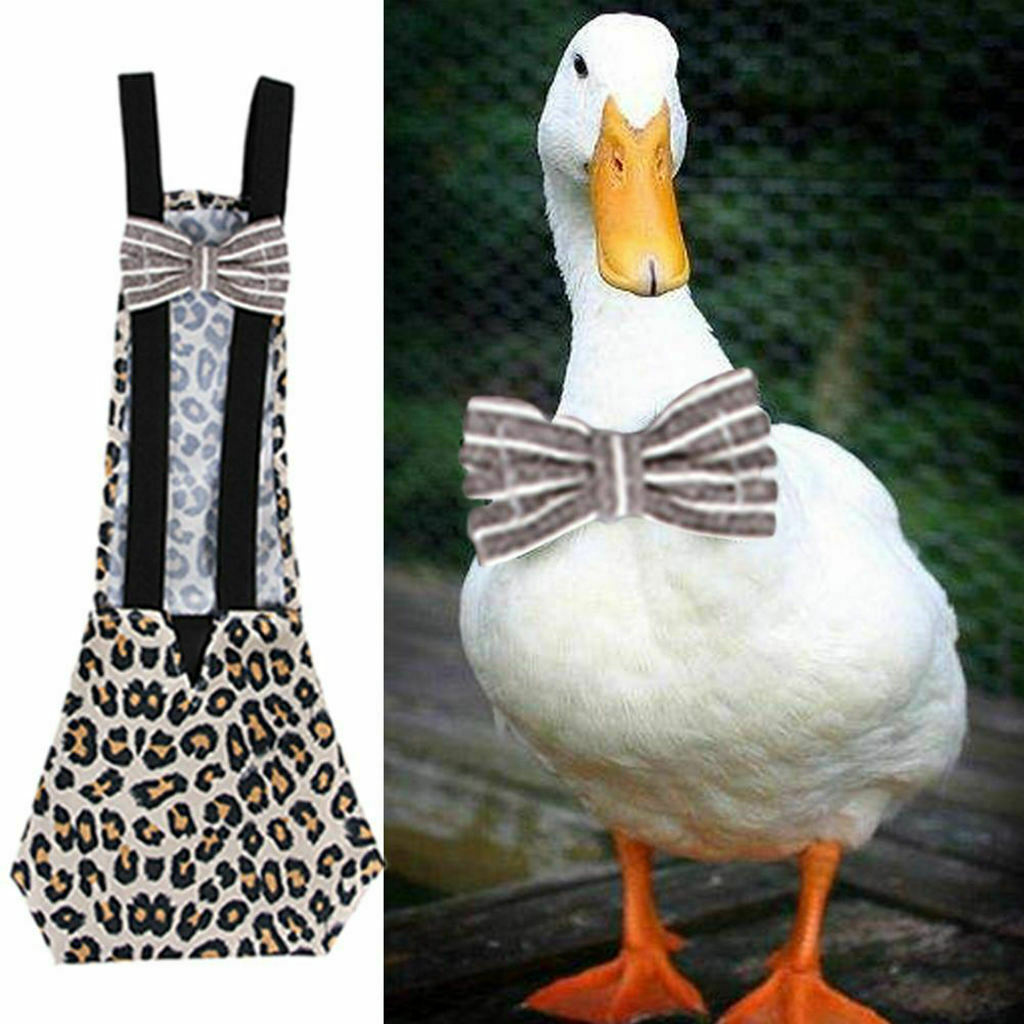 Leopard Print Adjustable Pet Diaper Poultry Pee Pad for Chicken Duck Pigeon