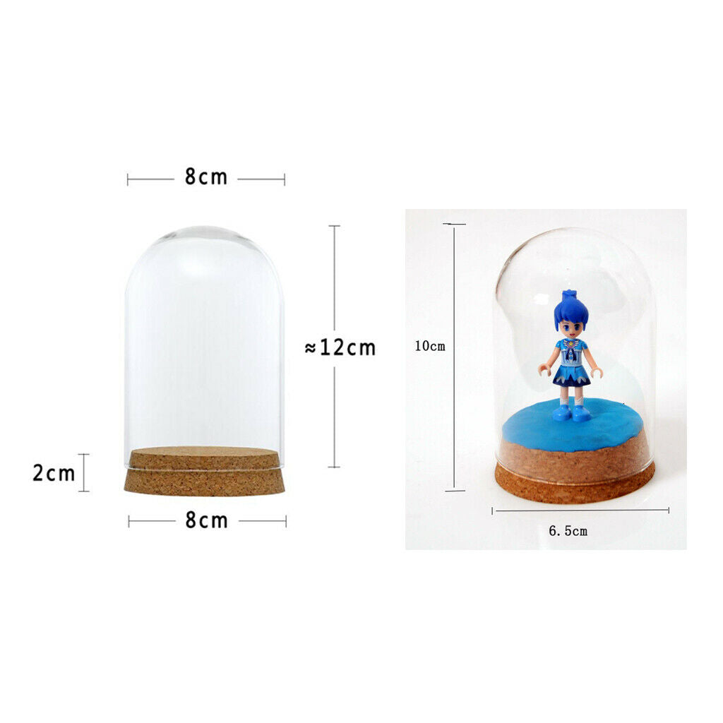 8x18 & 6.5x10cm Glass Dome Cover Cloche Bell Jar Terrariums with Wood