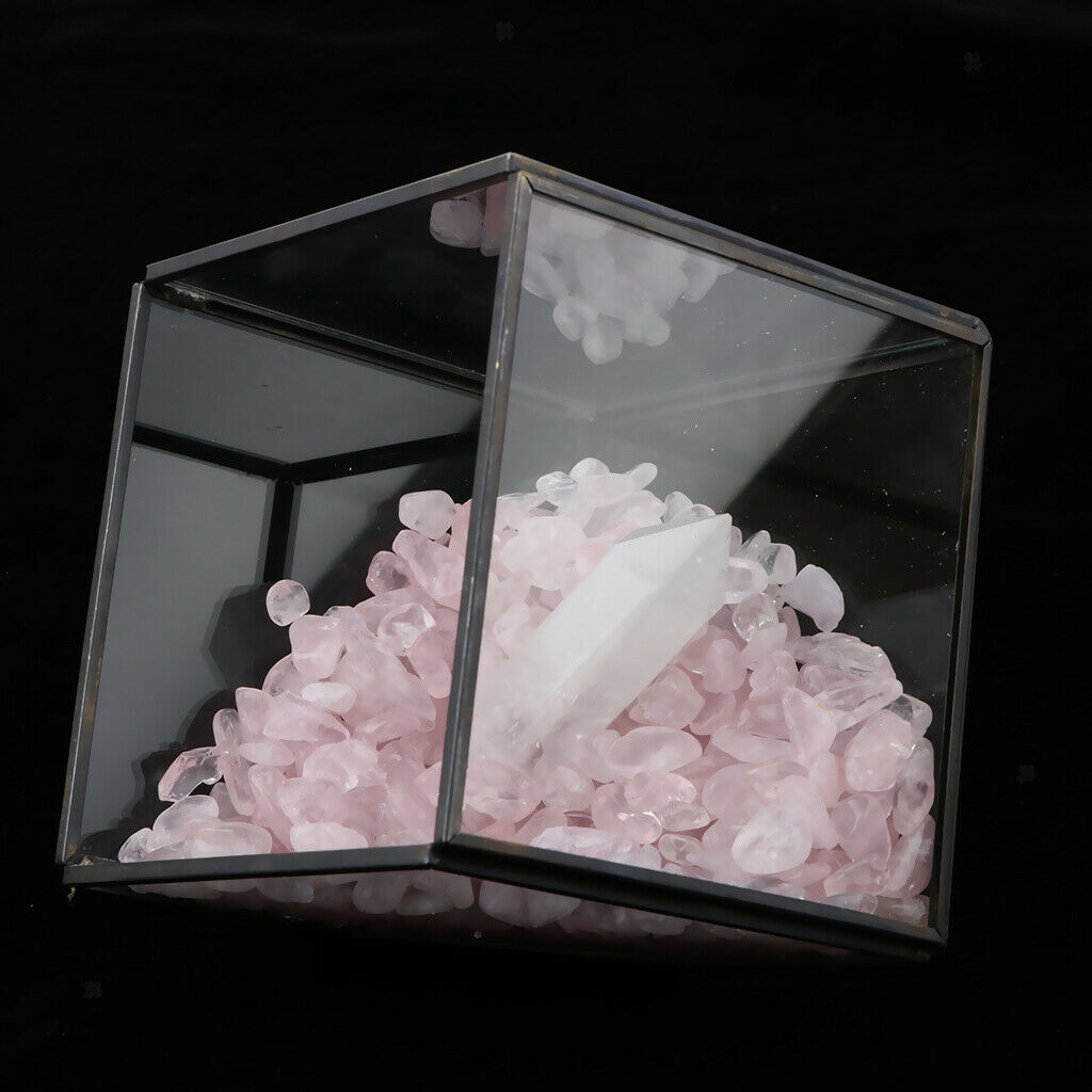 Natural Rock Mineral Collection Geology Earth Science Kit Ornament White