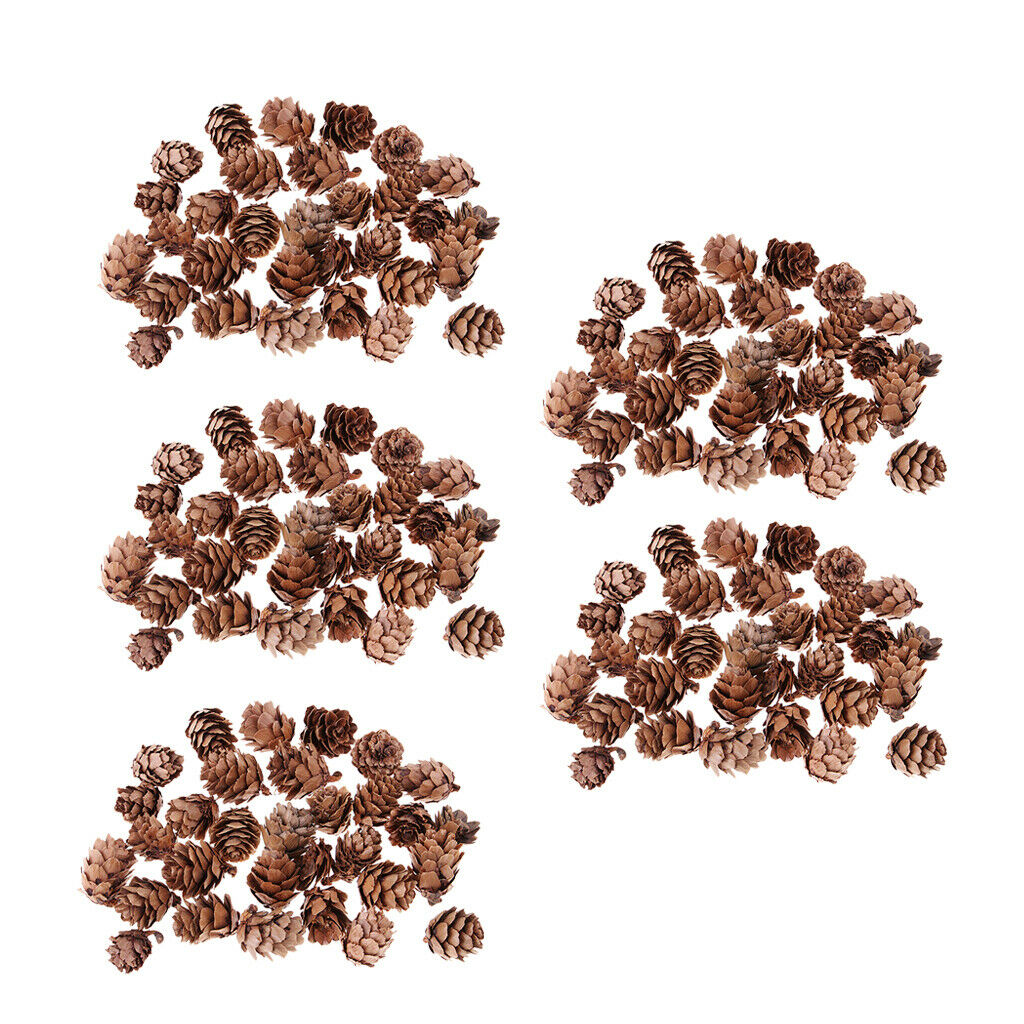 150pcs Small Natural Dried Pine Cones In Bulk Dried Flowers for Christmas Decors