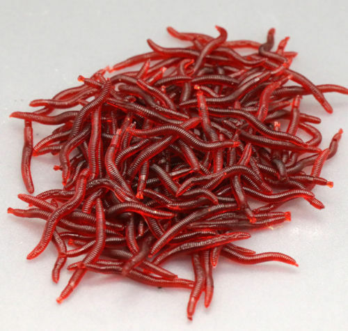 100 Pcs Soft Red Earthworm Fishing Bait Worm Lures Crankbaits Hooks Tackle Baits