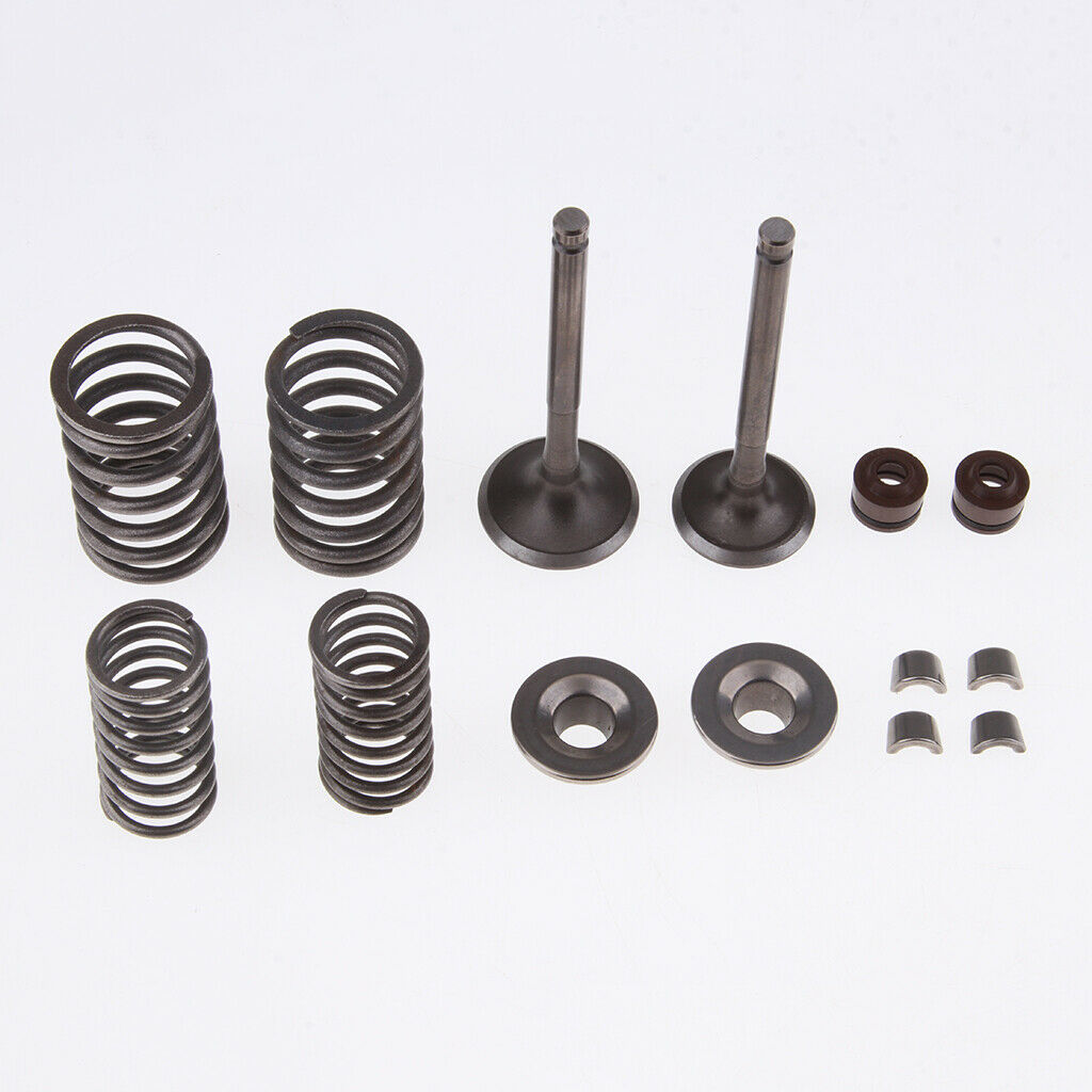 Intake & Exhaust Valves Spring Kit for 110cc Dirt Bike Go Cart 4 Wheeler