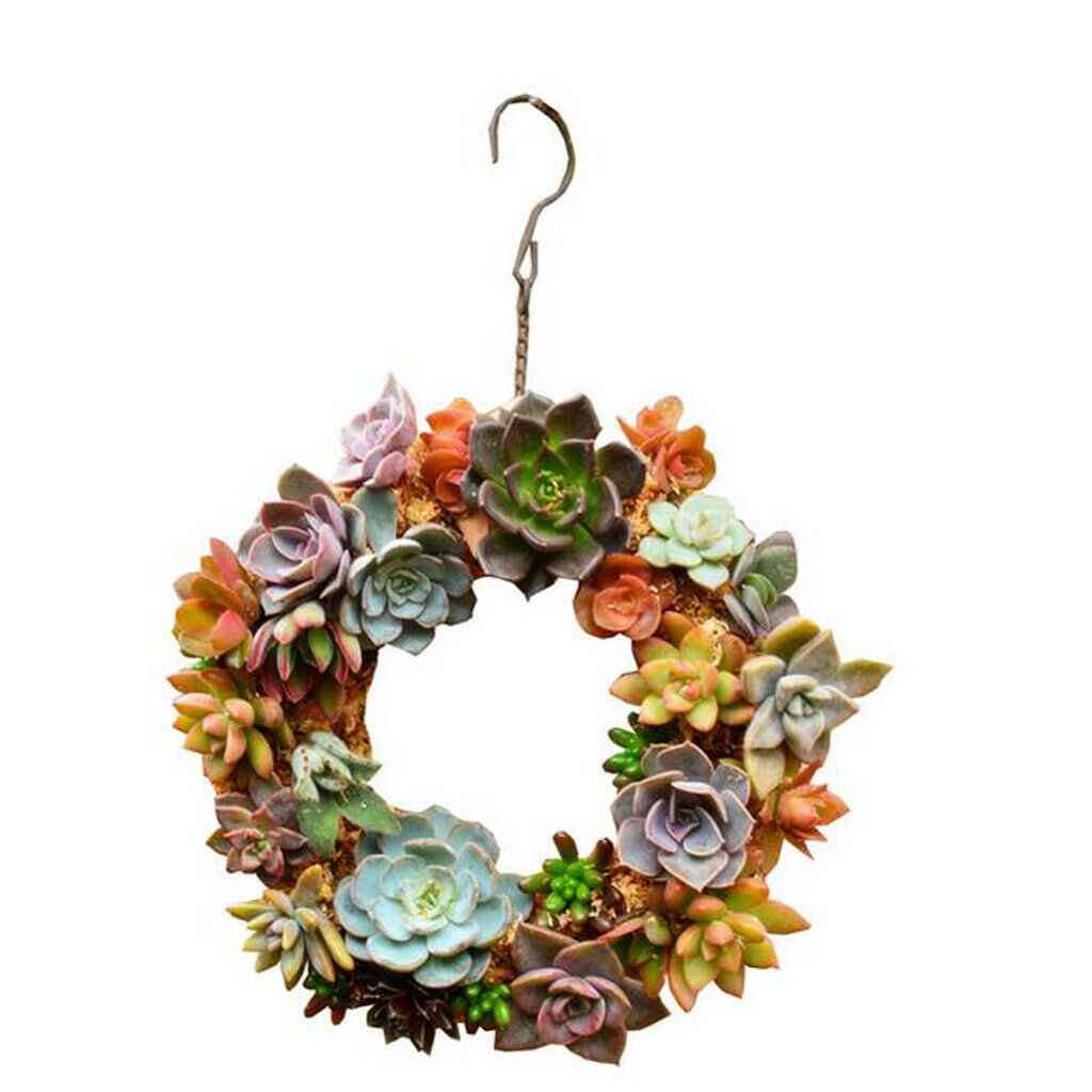 5pcs Rustic Iron Succulent Plants Wire Wreath Frame Flower Pot Hanging Wall Air