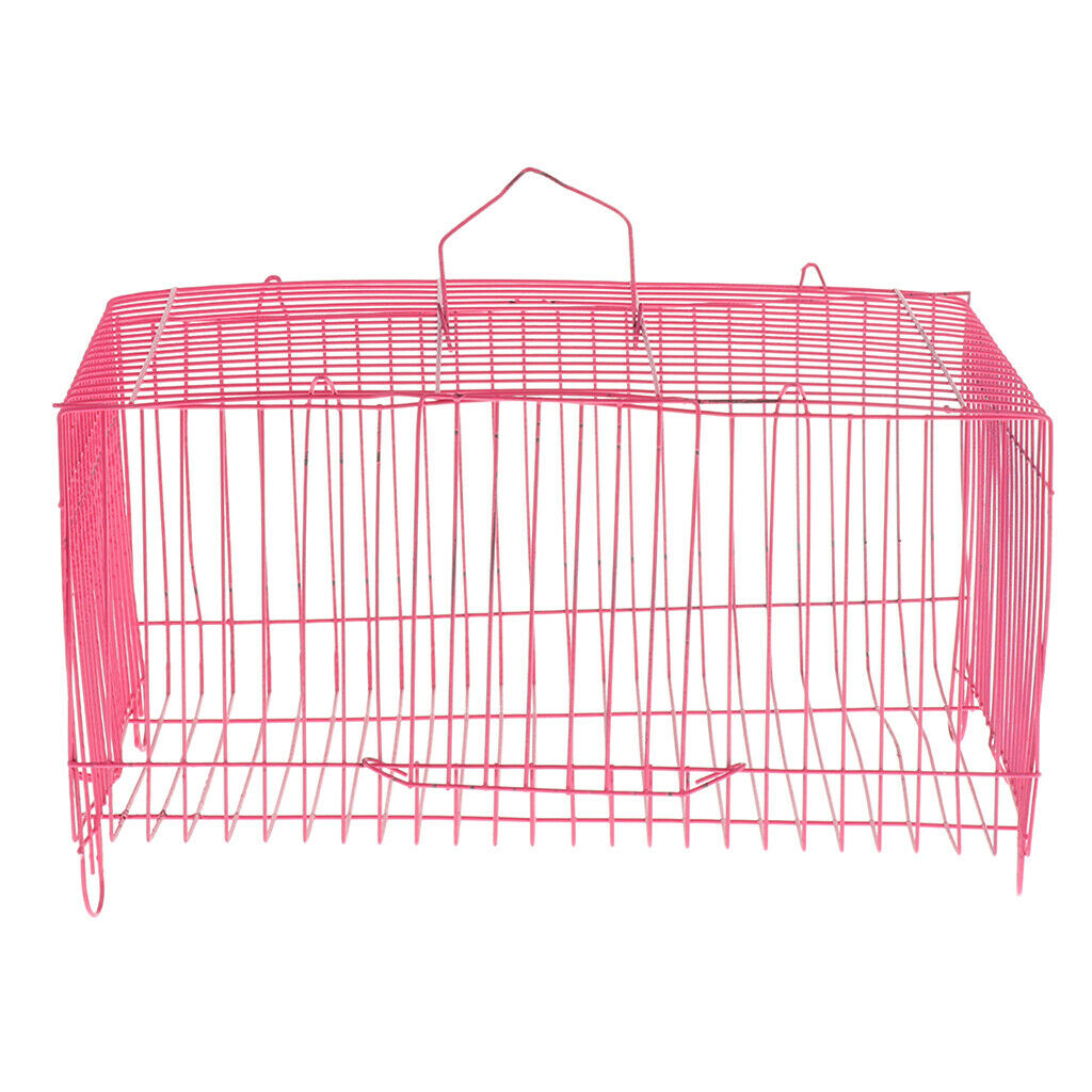 New House Small Pet Hamster Exercise