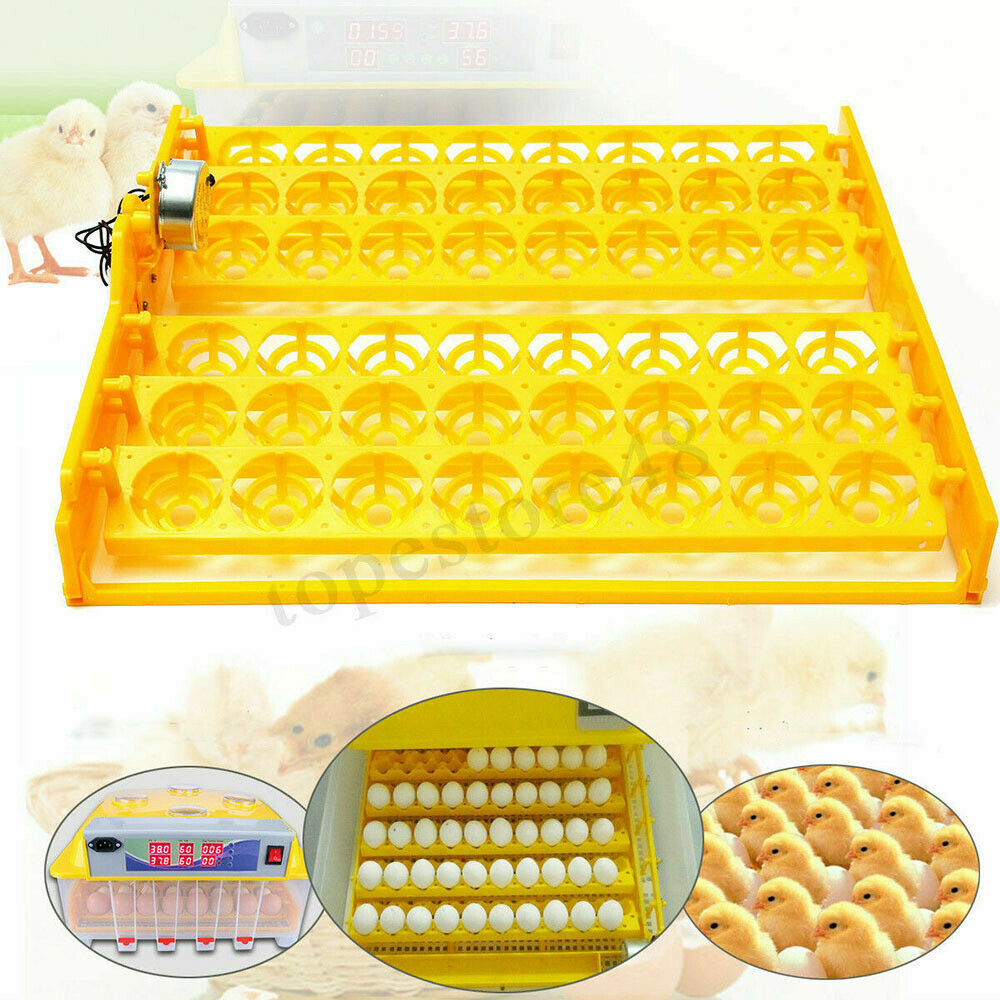 220V 56-egg Auto Egg Turner Tray Egg Incubator Turner Hatcher Brooder for