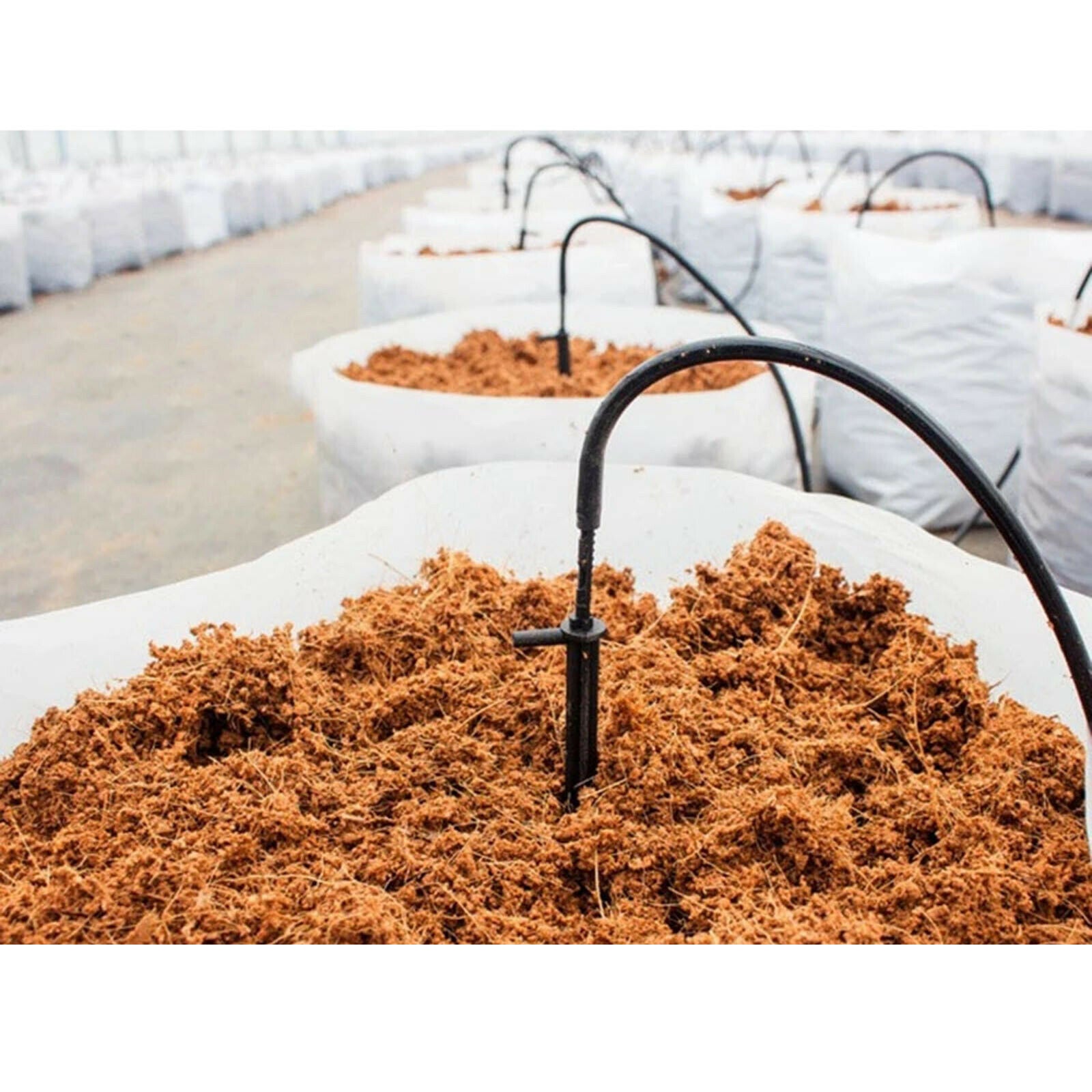Organic 650g 9L Planting Coco Nutrient Soil Blocks Coconut Coir Bricks