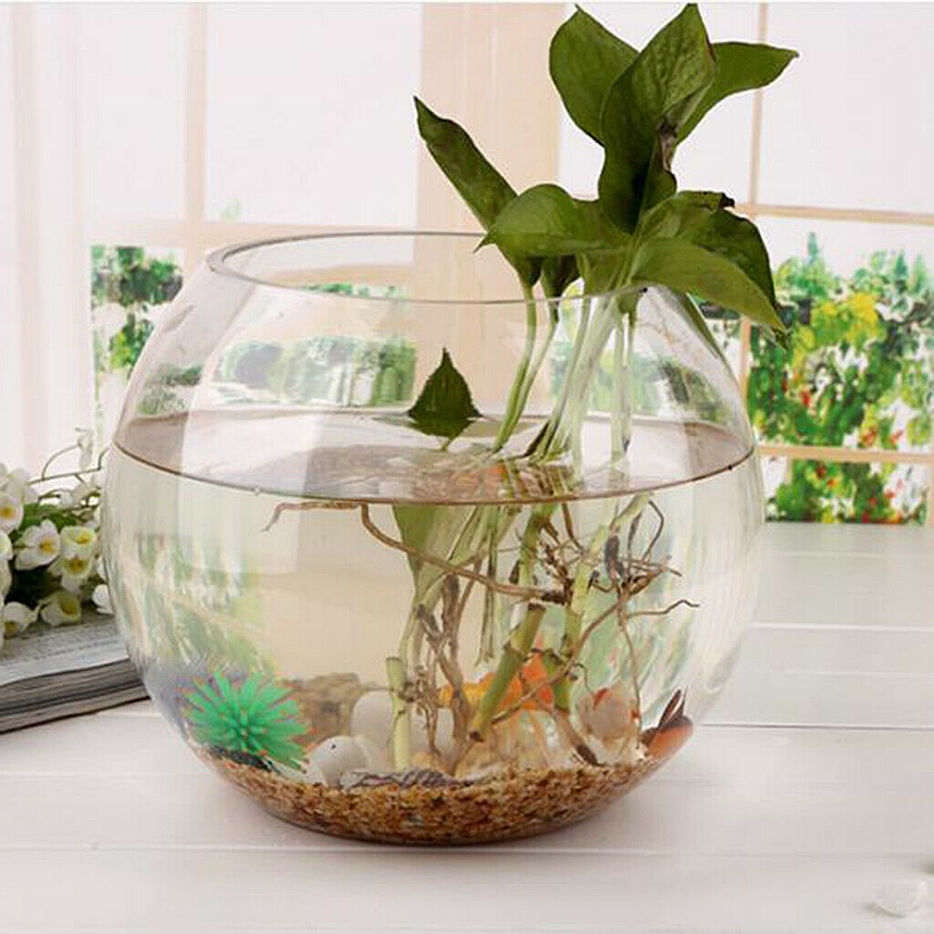 Clear Glass Aquarium Fishbowl for Tealight Gardens, Spa & Aromatherapy Settings,