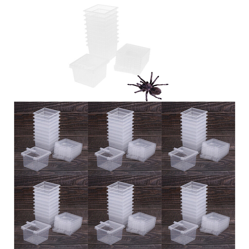 60pcs Reptile Lizards Feeding Box Turtle Feeding Box For Reptile Snakes