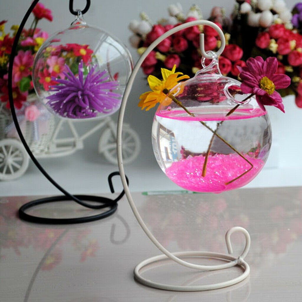 Glass Vase Hanging Ball Shape + Iron Plant Support Plant Holder Hanging Holder